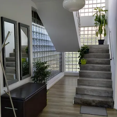 Coin De Paradis 펜션 킨타 두 안주