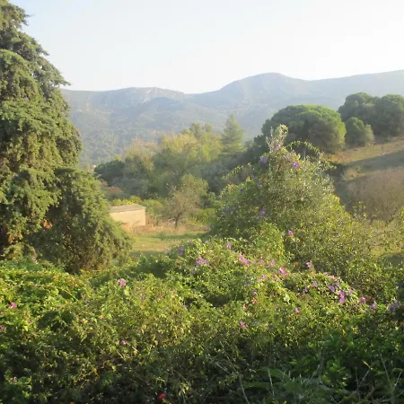 Coin De Paradis 펜션 킨타 두 안주