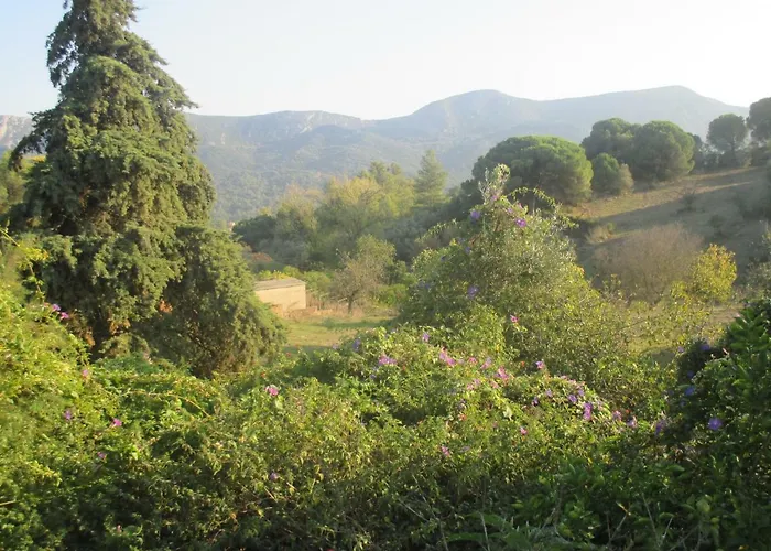 Coin De Paradis Casa vacanze Quinta do Anjo